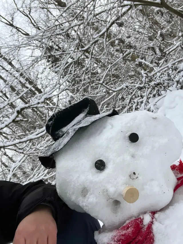 A snowman in a winter forest in Moscow